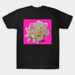 White and Pink Rose T-Shirt